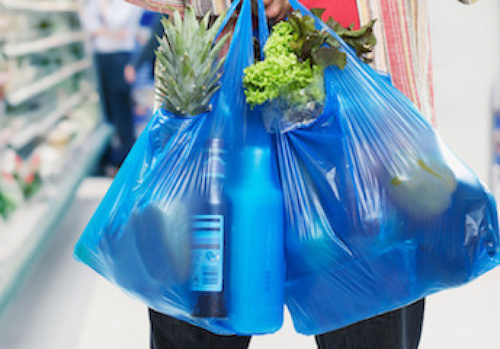 Compostable Grocery Bags